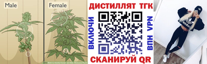купить  цена  Петровск  ТГК вейп с тгк 