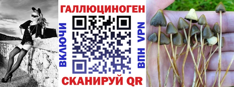 Псилоцибиновые грибы MAGIC MUSHROOMS Петровск